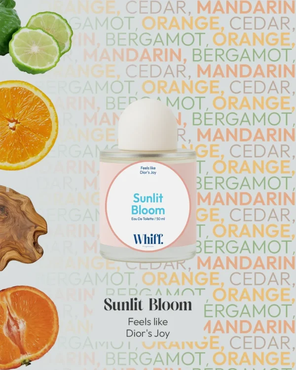 Sunlit Bloom
